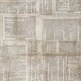 Swatch of vintage collage printed fabric in dictionary