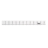 Frosted Acrylic Ruler size 1x12