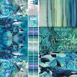 A group of available prints from the Whale Song collection.