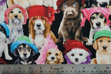 Adorable Pets in Hats - 44/45" - 100% Cotton