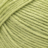 Fabwoolous! - 170g - Bernat