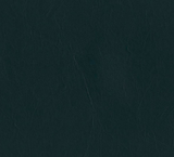 Forest Green swatch of Daytona (lightly wrinkled) vinyl