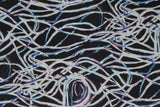 Print "Maze of Mystery" from the Spirit Winds collection.