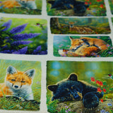 Mountain Sunrise - 44/45" - 100% Cotton