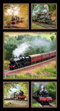 Steam Trains - 44/45" - 100% cotton