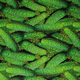 Fruits & Vegetables - 44/45" - 100% cotton