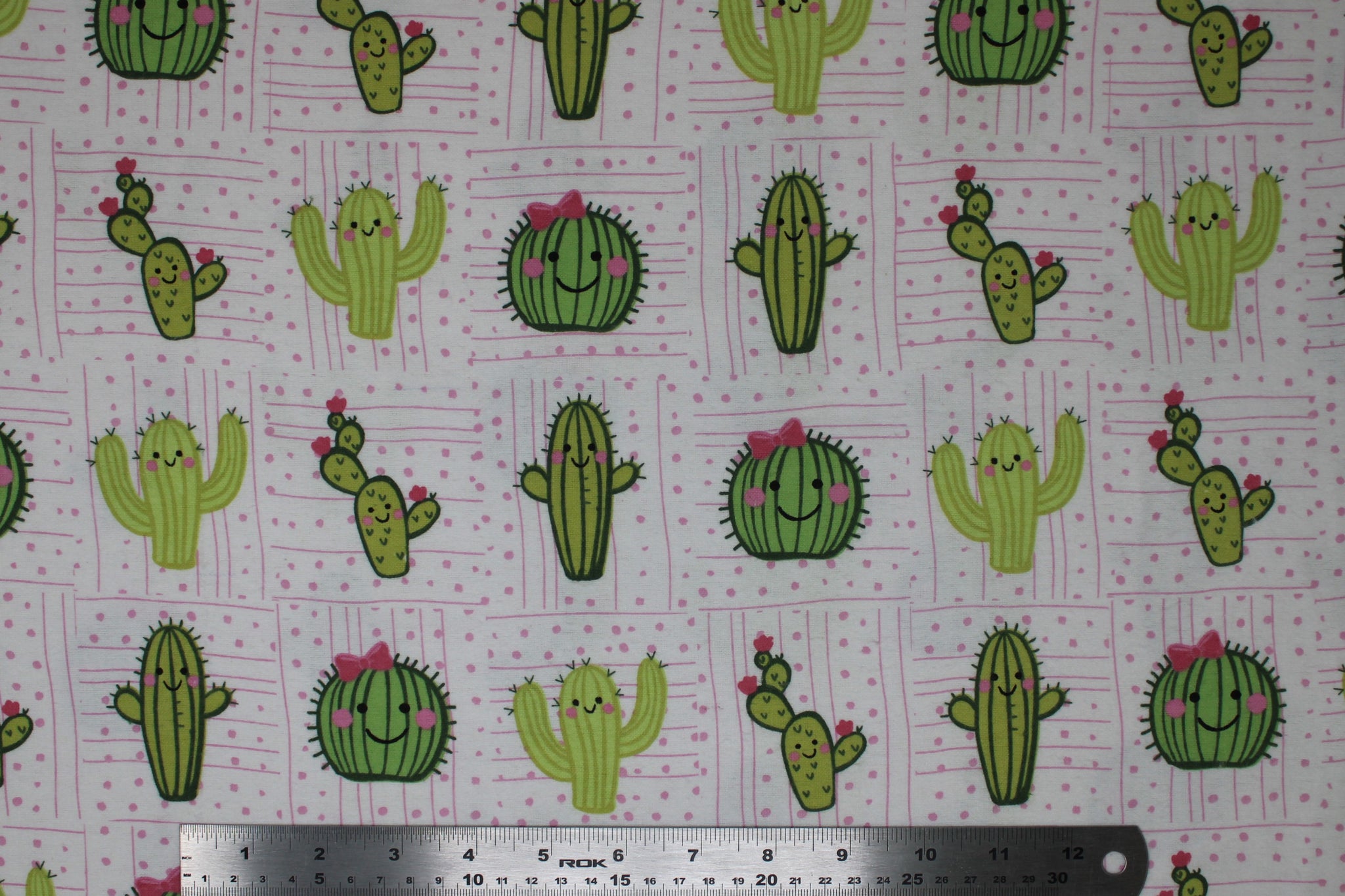 smile cactus Cactus Smiling Friends