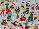 Santa Paws - 43" - 100% Cotton