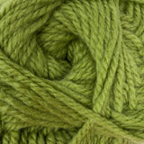 Patons Inspired Yarn swatch in Olive