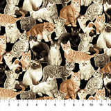 Cat Tales - 45" - 100% cotton