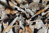 Cat Tales - 45" - 100% cotton