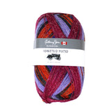 Homestead Painted - 100g - Gathering Yarns