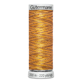 Variegated Rayon Dekor Thread 200m - GÜTERMANN