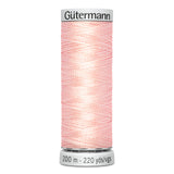 Variegated Rayon Dekor Thread 200m - GÜTERMANN