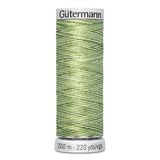Variegated Rayon Dekor Thread 200m - GÜTERMANN
