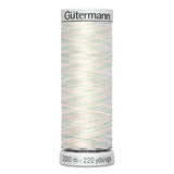 Variegated Rayon Dekor Thread 200m - GÜTERMANN