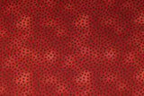Quilters Basics Dusty - 45" - 100% cotton