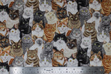 Crowded Cats - 44/45" - 100% cotton