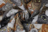 Crowded Cats - 44/45" - 100% cotton