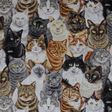 Crowded Cats - 44/45" - 100% cotton
