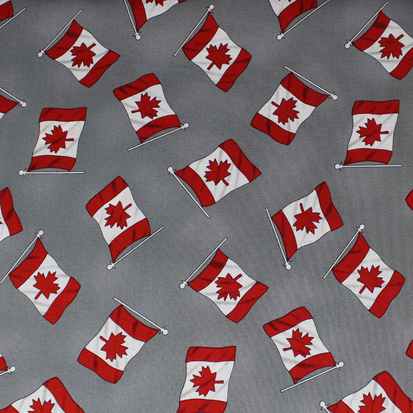 Canadian Flag Print - 45