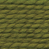 Wool-Ease Thick & Quick - 170g - Lion Brand