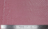 Dotted Plush Spandex - 60"