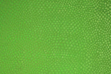 Dotted Plush Spandex - 60"