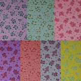 What a Ditz (True Colors) - 44" - 100% Cotton - Tula Pink