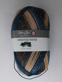 Homestead Painted - 100g - Gathering Yarns