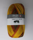 Homestead Painted - 100g - Gathering Yarns