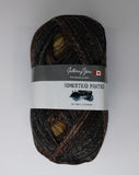 Homestead Painted - 100g - Gathering Yarns