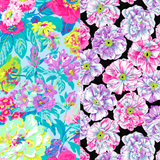 Kaffe Fassett Collective - February 2026 - 44/45" - 100% cotton