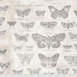 Foundations - 45" - 100% Cotton - Tim Holtz