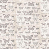 Foundations - 45" - 100% Cotton - Tim Holtz