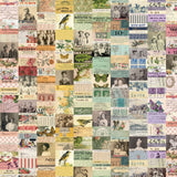 Palette Multi - 44" - 100% cotton - Tim Holtz