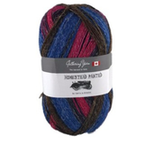 Homestead Painted - 100g - Gathering Yarns