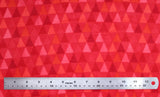 Winter Randezvous - 44" - 100% Cotton Flannel