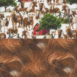 Whimsy Whinnies - 44/45" - 100% cotton