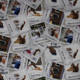 The Secret Life of Squirrels II - 44/45'' - 100% cotton