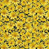Yellow Floral fabric swatch (black fabric with busy tossed yellow floral allover with tossed bees and subtle greenery)