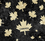 Square swatch Oh Canada collection fabric (black fabric with beige maple leaves tossed and "Canada" text)