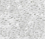 Square swatch fabric from Naturescapes collection in birch bark (white/grey/black textured birch bark print fabric)