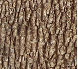 Square swatch fabric from Naturescapes collection in brown bark (brown bark textured fabric)