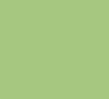 Solid colour swatch of Aloe (light spring green)