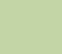Solid colour swatch of Eucalyptus (pale spring green)