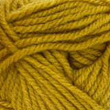 Patons Inspired Yarn swatch in Honey Spice (medium yellow)