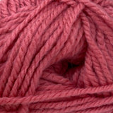 Patons Inspired Yarn swatch in Raspberry