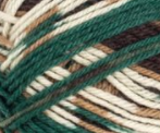 Swatch of Patons Kroy Socks Yarn in shade woodsie (white, tan, brown, forest green colourway)