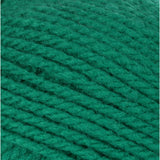 Emerald swatch of Patons Astra